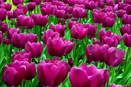 633861 (a): :1920x1280